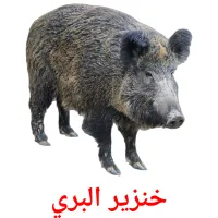 خنزير البري picture flashcards