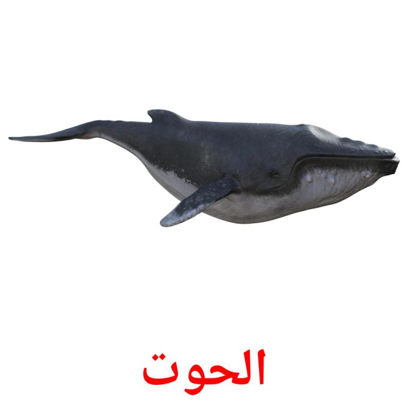 الحوت picture flashcards