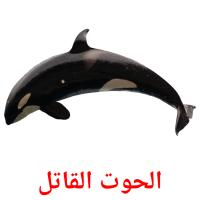 الحوت القاتل picture flashcards