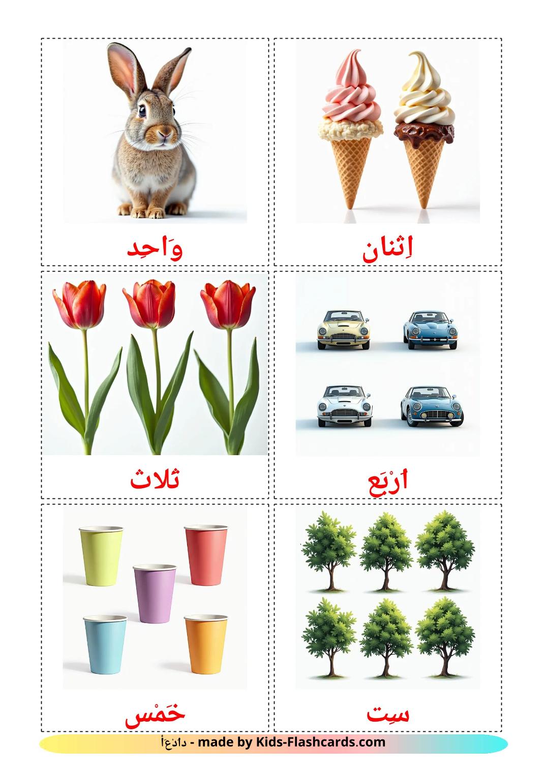 Counting - 10 Free Printable arabic Flashcards 