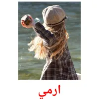 ارمي picture flashcards