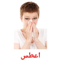 اعطس picture flashcards