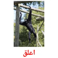 اعلق picture flashcards