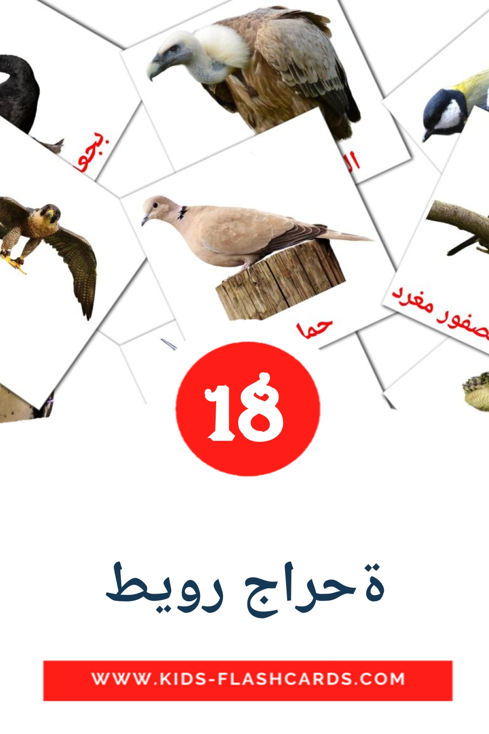  ةحراج رويط  на арабском для Детского Сада (18 карточек)