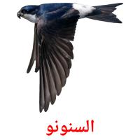 السنونو card for translate