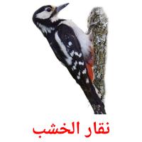 نقار الخشب card for translate