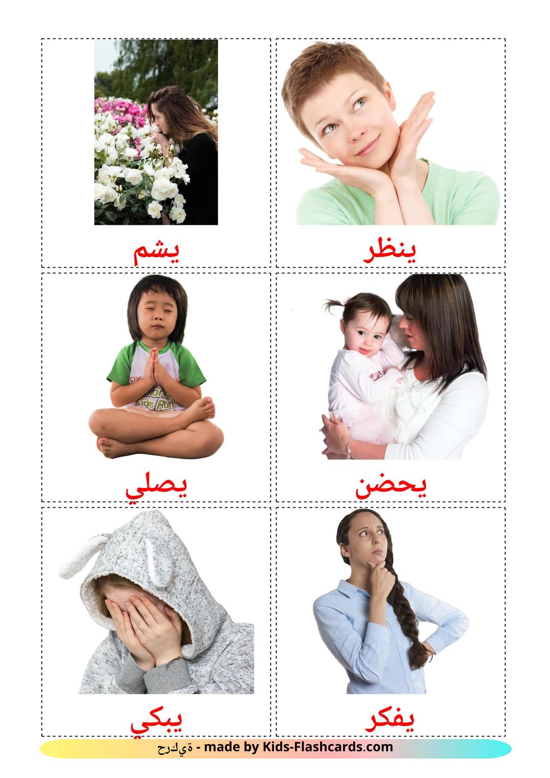 State verbs - 24 Free Printable arabic Flashcards 