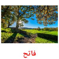 فاتح card for translate