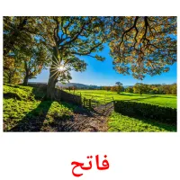 فاتح flashcards illustrate