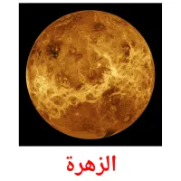 الزهرة picture flashcards