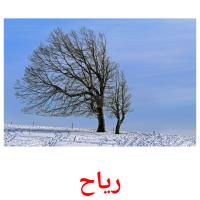 رياح card for translate