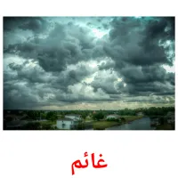 غائم picture flashcards