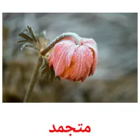 متجمد picture flashcards