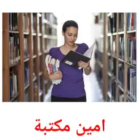 امين مكتبة Bildkarteikarten