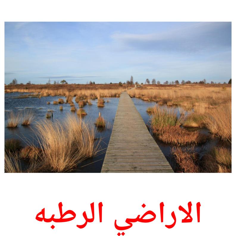 الاراضي الرطبه picture flashcards