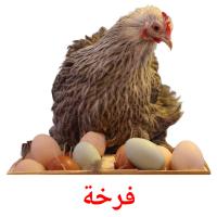 فرخة picture flashcards