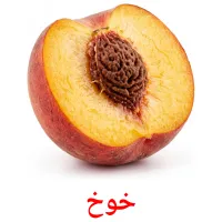 21 Printable Fruits Flashcards in Arabic (Free PDF)