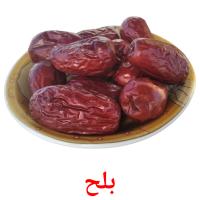 بلح card for translate