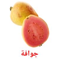 جوافة card for translate