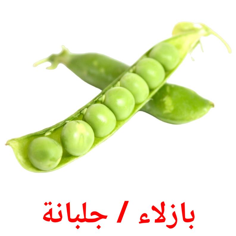 بازلاء / جلبانة picture flashcards
