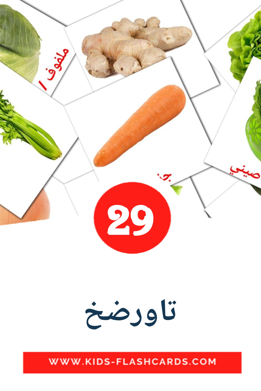 29 تاورضخ Picture Cards for Kindergarden in arabic