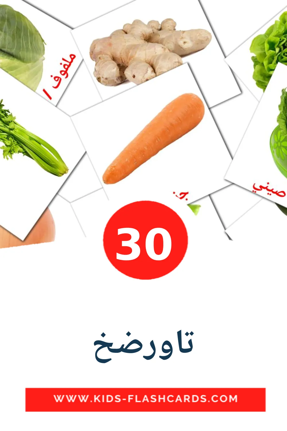 30 carte illustrate di تاورضخ per la scuola materna in arabo