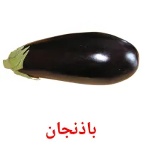 باذنجان flashcards illustrate