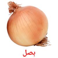 بصل card for translate