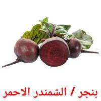 بنجر / الشمندر الاحمر picture flashcards