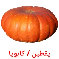 يقطين / كابويا flashcards illustrate