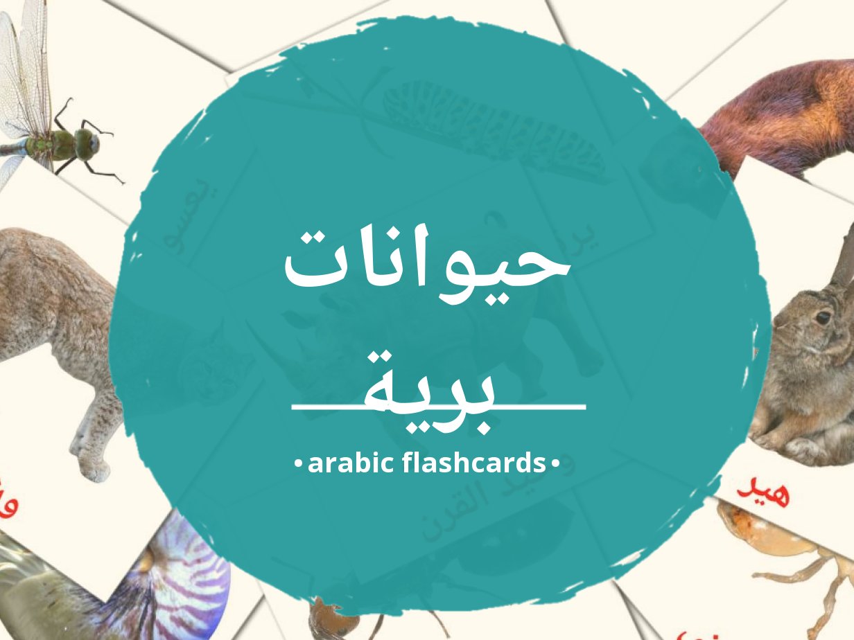 134-free-animals-flashcards-in-arabic-pdf-files