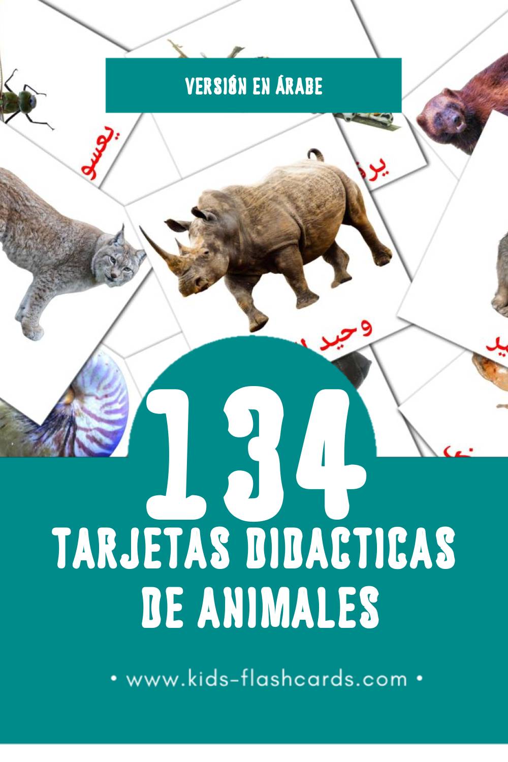 Tarjetas visuales de حيوانات برية para niños pequeños (134 tarjetas en Árabe)