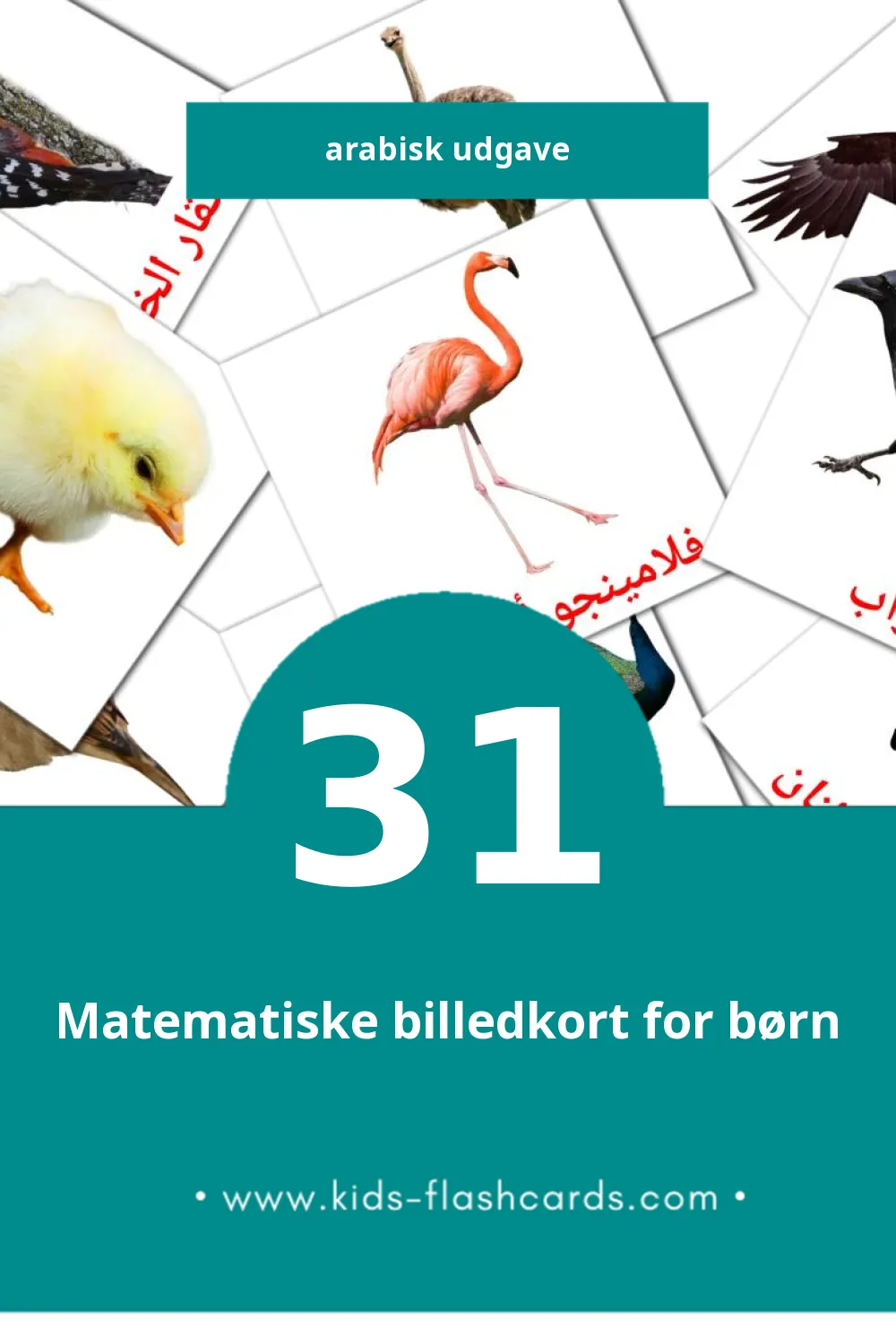 Visuelle billedkort for børn om رويط til småbørn (31 kort på Arabisk)