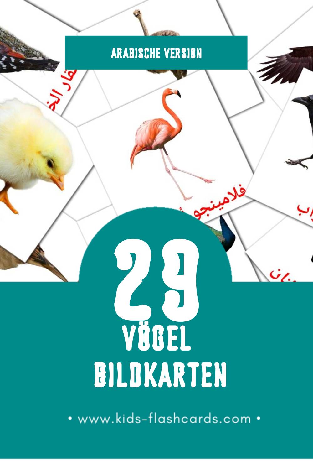 Visual رويط Flashcards für Kleinkinder (29 Karten in Arabisch)