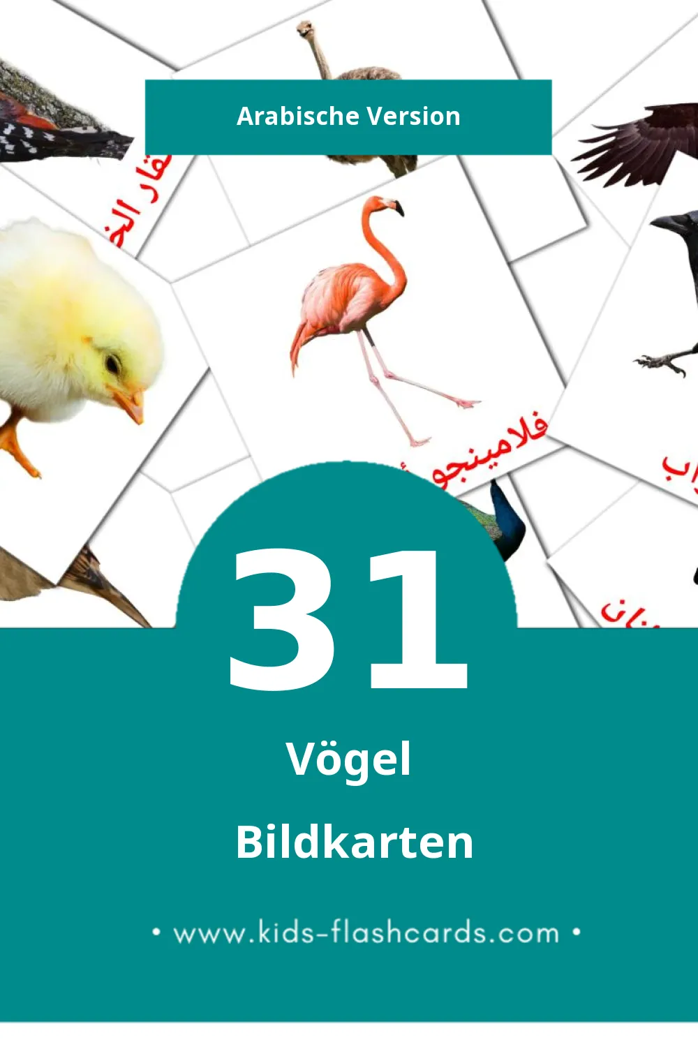 Visual رويط Flashcards für Kleinkinder (31 Karten in Arabisch)