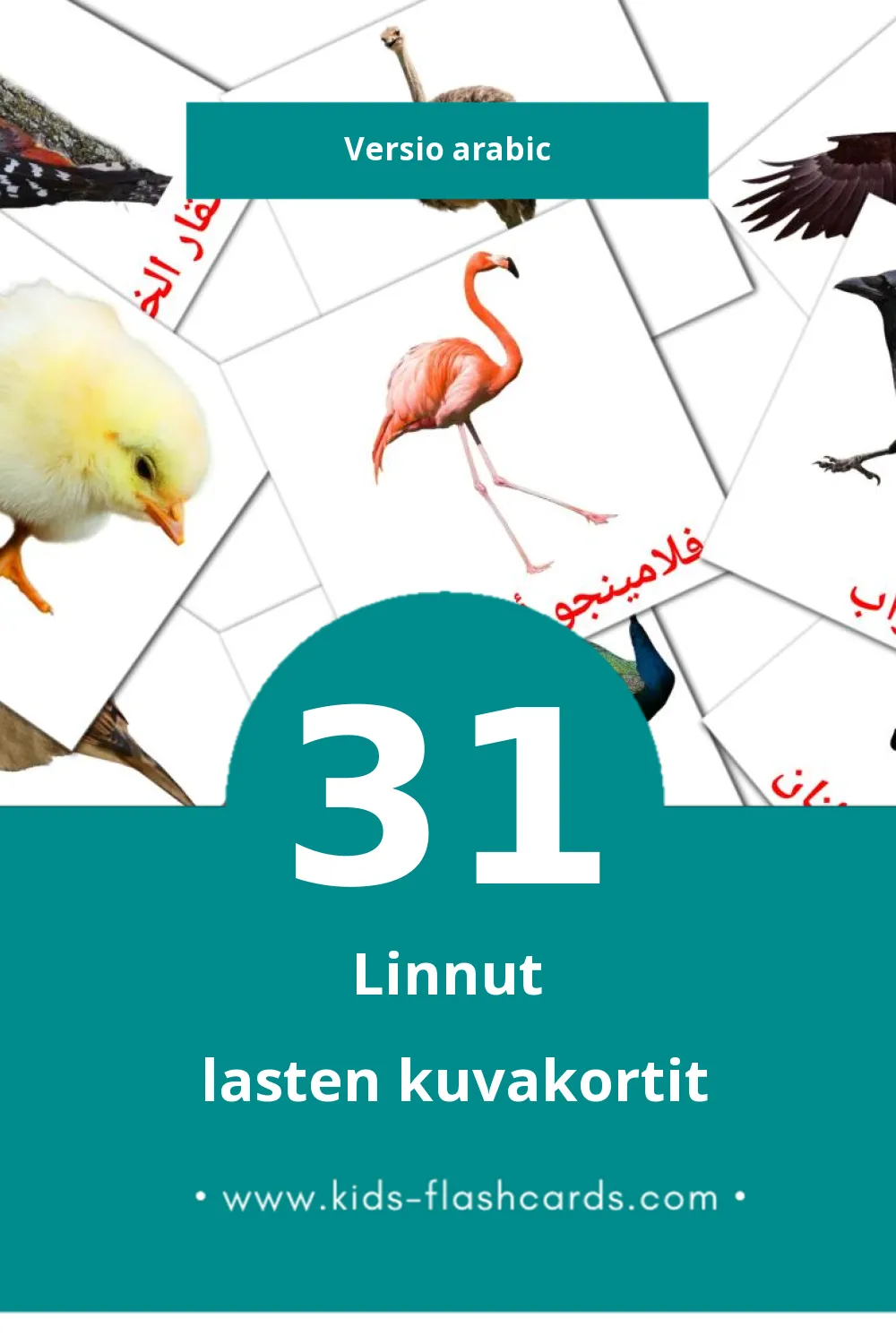 رويط lasten kuvakortit pikkulapsille (31 korttia Arabicksi)