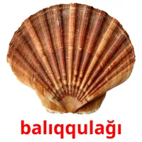 balıqqulağı карточки энциклопедических знаний