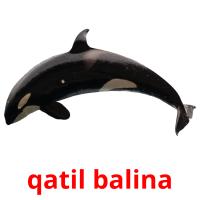 qatil balina card for translate