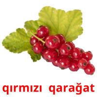 qırmızı  qarağat card for translate