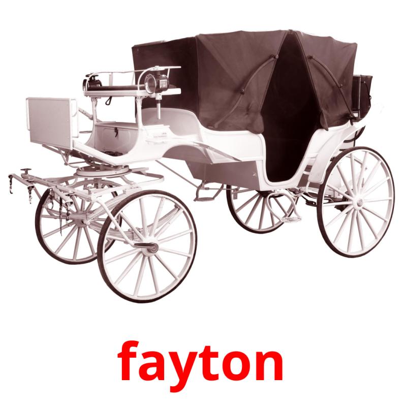 fayton flashcards illustrate