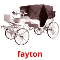 fayton Bildkarteikarten