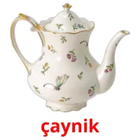 çaynik Bildkarteikarten