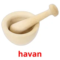 havan Bildkarteikarten