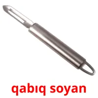 qabıq soyan Bildkarteikarten