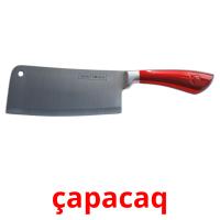 çapacaq picture flashcards