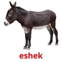 eshek card for translate