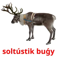 soltústіk buǵy Bildkarteikarten