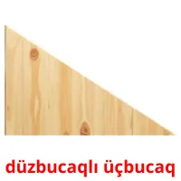 düzbucaqlı üçbucaq picture flashcards