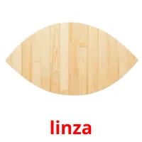 linza picture flashcards