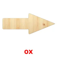 ox picture flashcards